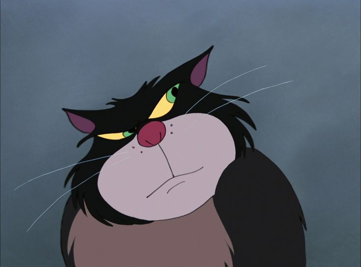 Cinderella / Lucifer cat