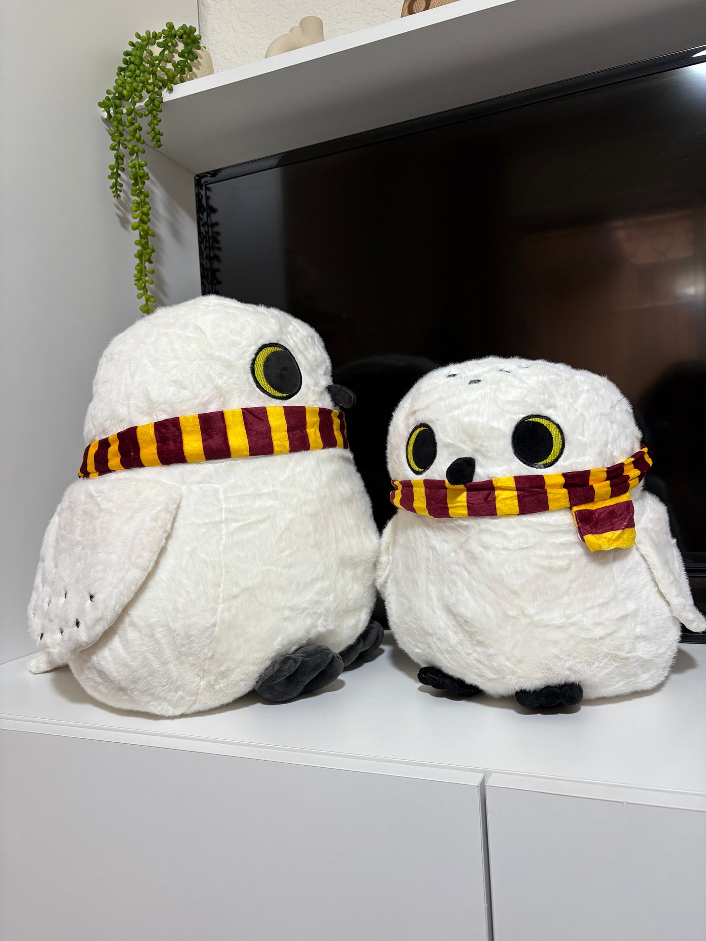 Owl Plush toy
