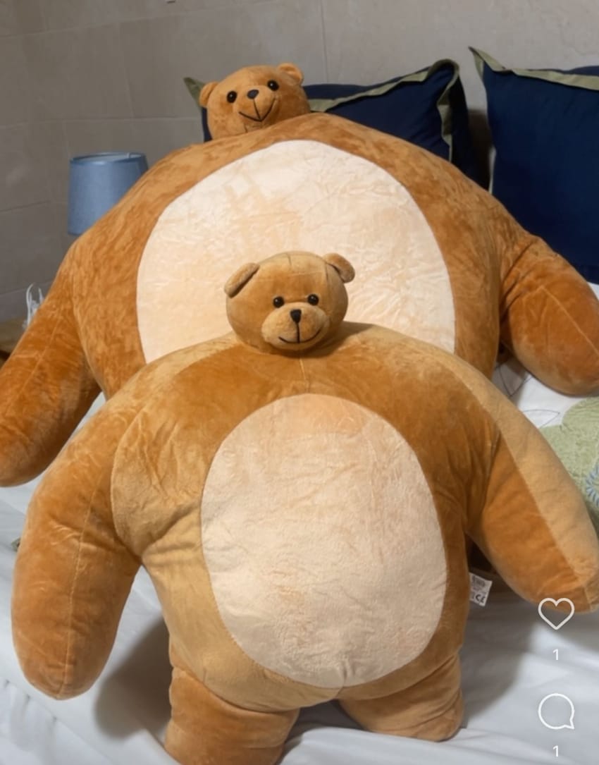bear plush toy
