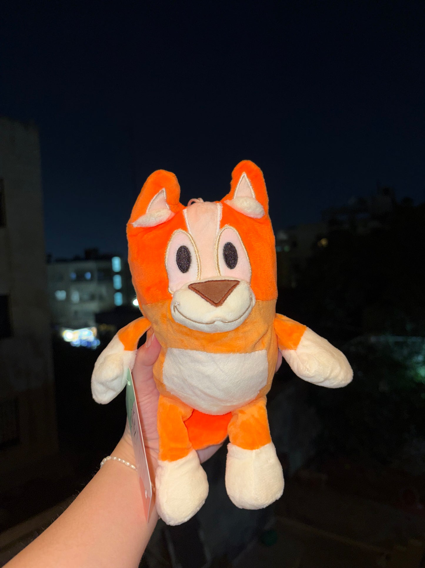 Bluey and Bingo Plush - 20 cm