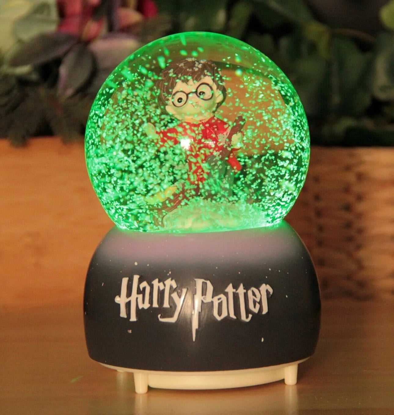 Harry potter snow globe