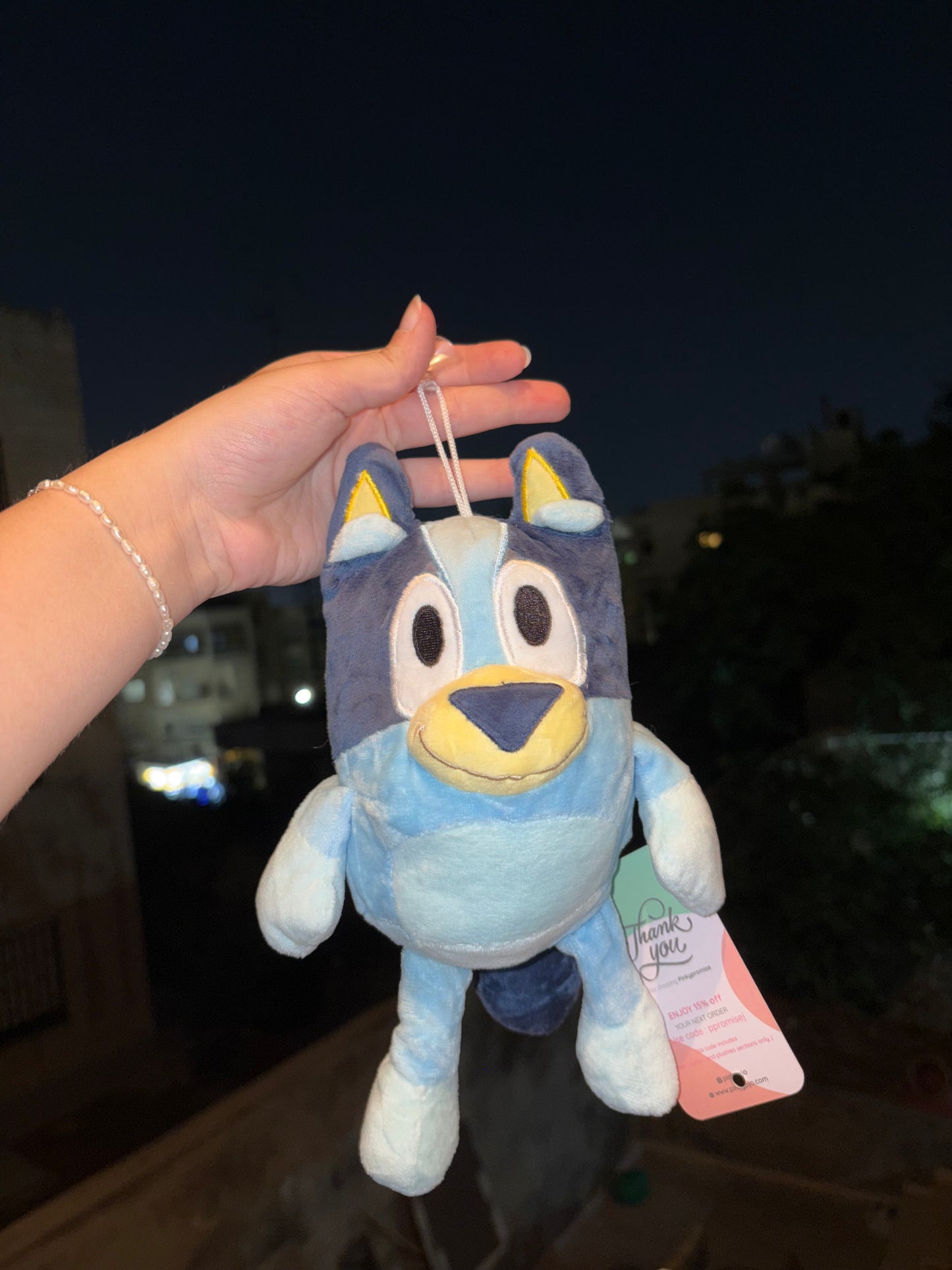 Bluey and Bingo Plush - 20 cm