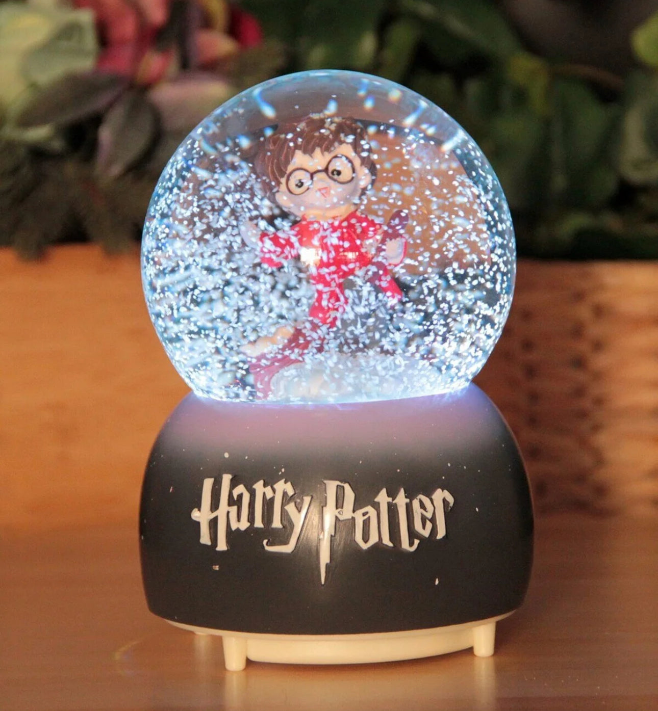 Harry potter snow globe