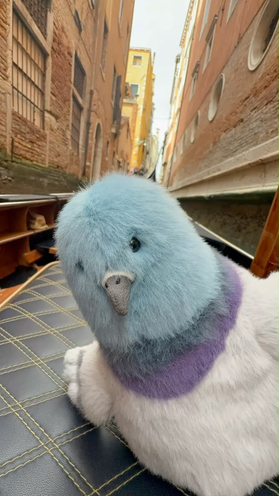 Cute Pigeon Plush Toy – Soft Chubby City Bird Stuffed Animal & Desk Decor