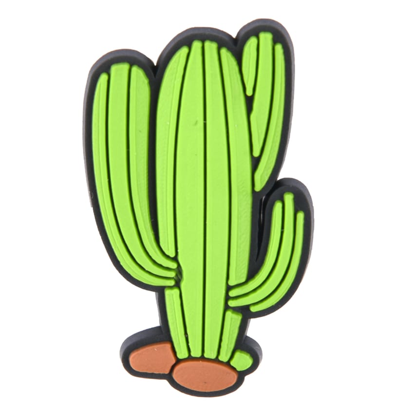 cactus charm