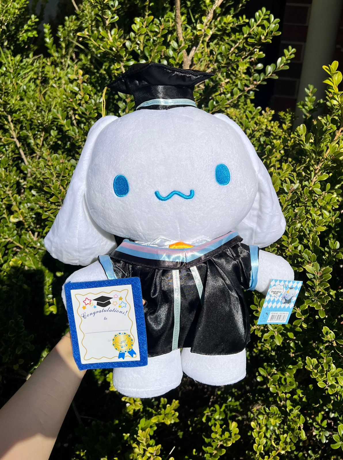Cinnamoroll graduation Plush | Pinky Promise
