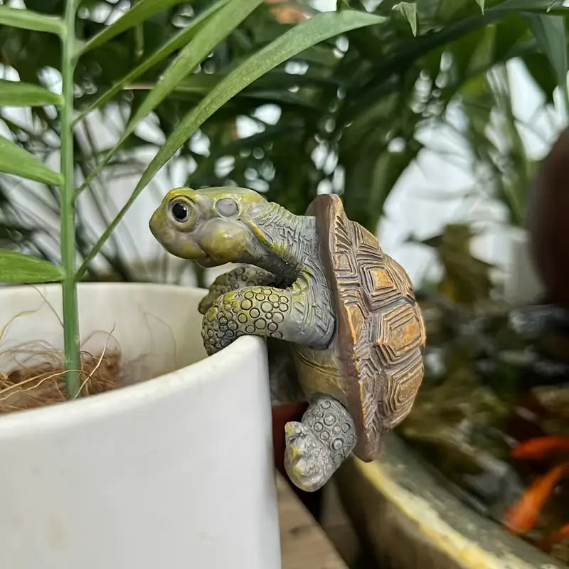 Buy Climbing Turtle Plant Pot Hanger at Pinky Promise