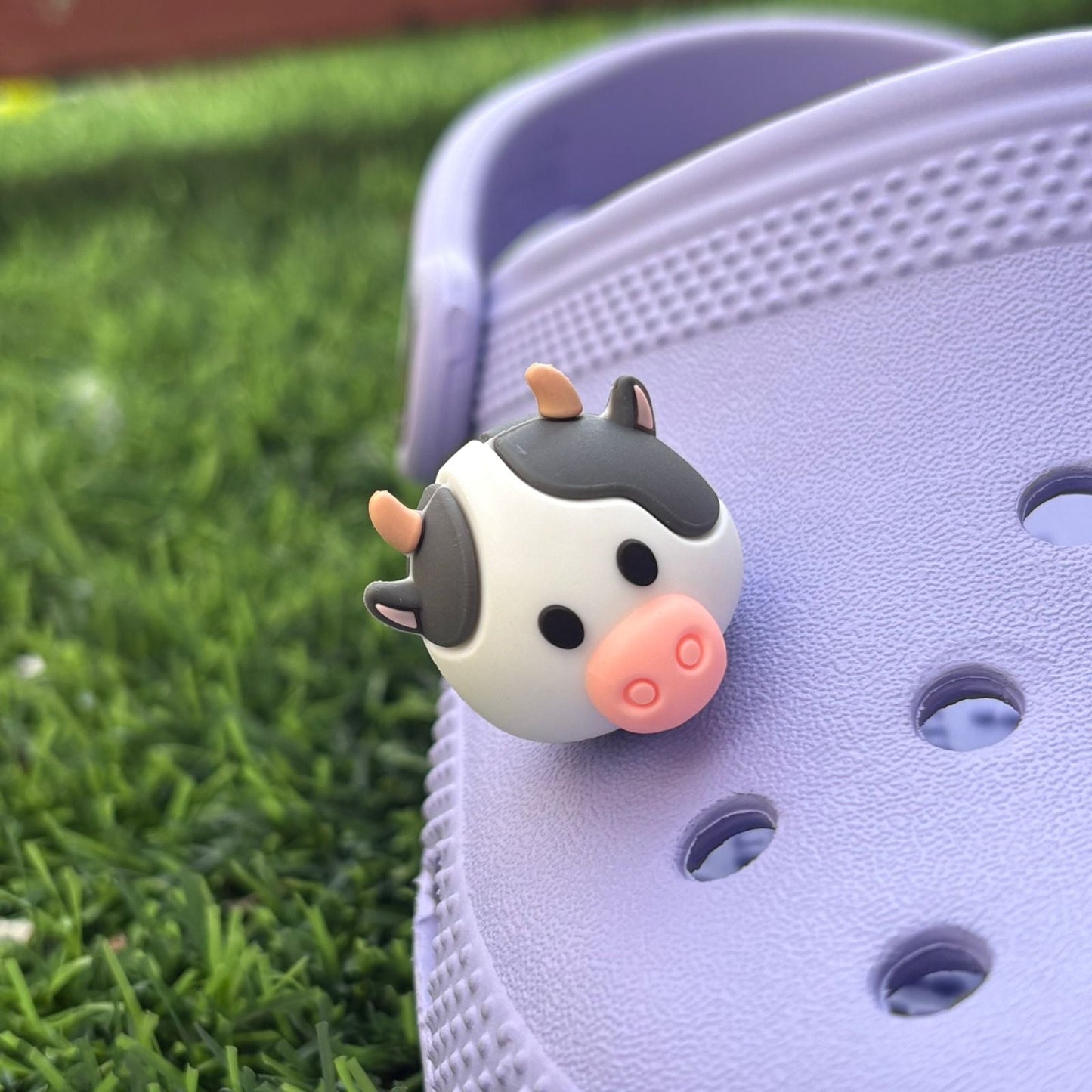 Buy Cow 3D CHARM at Pinky Promise