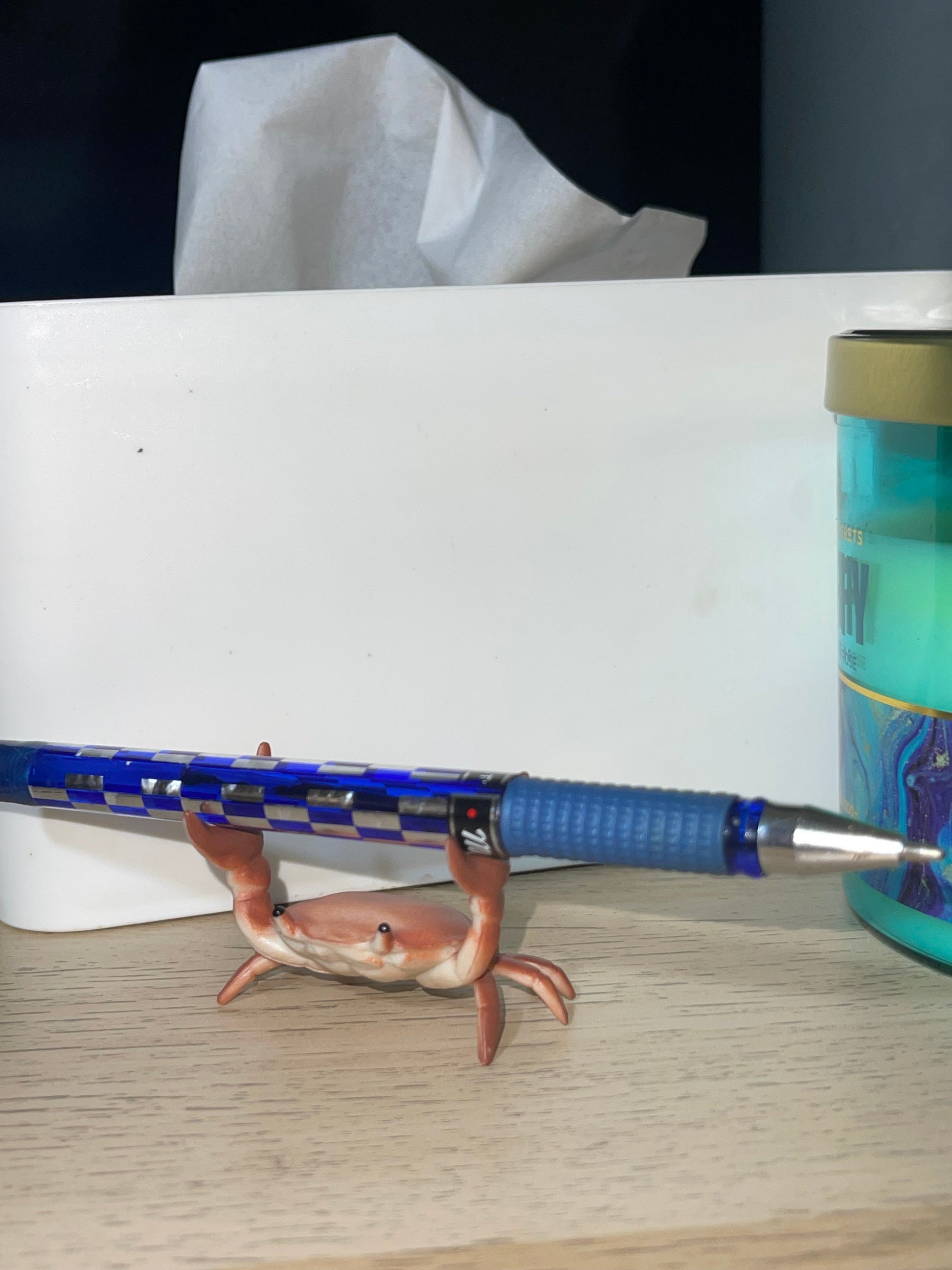 Crab pen holder - Photo 11 | Pinky Promise