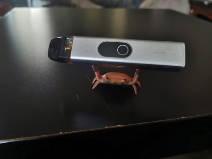Crab pen holder - Photo 9 | Pinky Promise