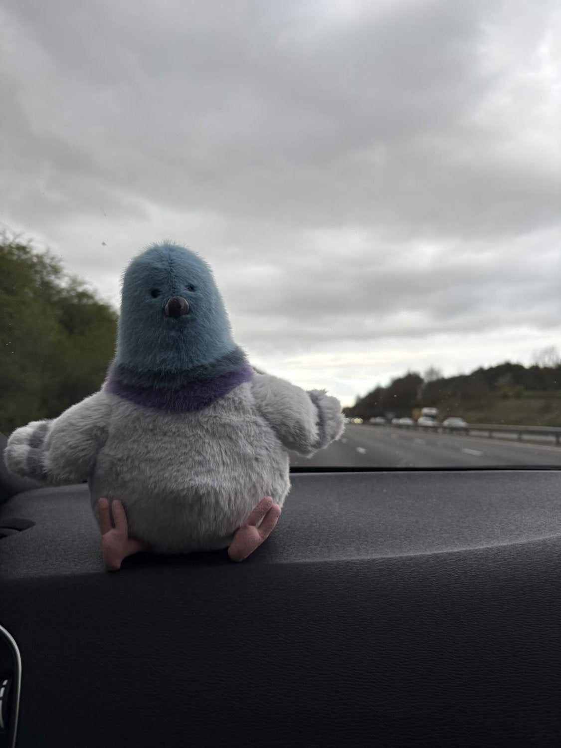 Cute Pigeon Plush Toy – Soft Chubby City Bird Stuffed Animal & Desk Decor - Pinky Promise