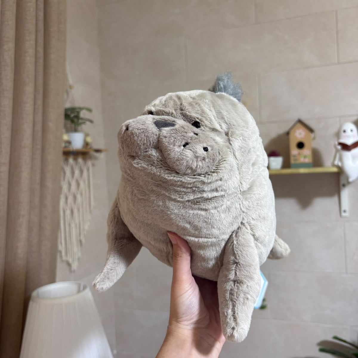 Cute Seal Plush Toy – Soft Chubby Sea Lion Stuffed Animal & Bedroom Decor - 30 cm - Pinky Promise