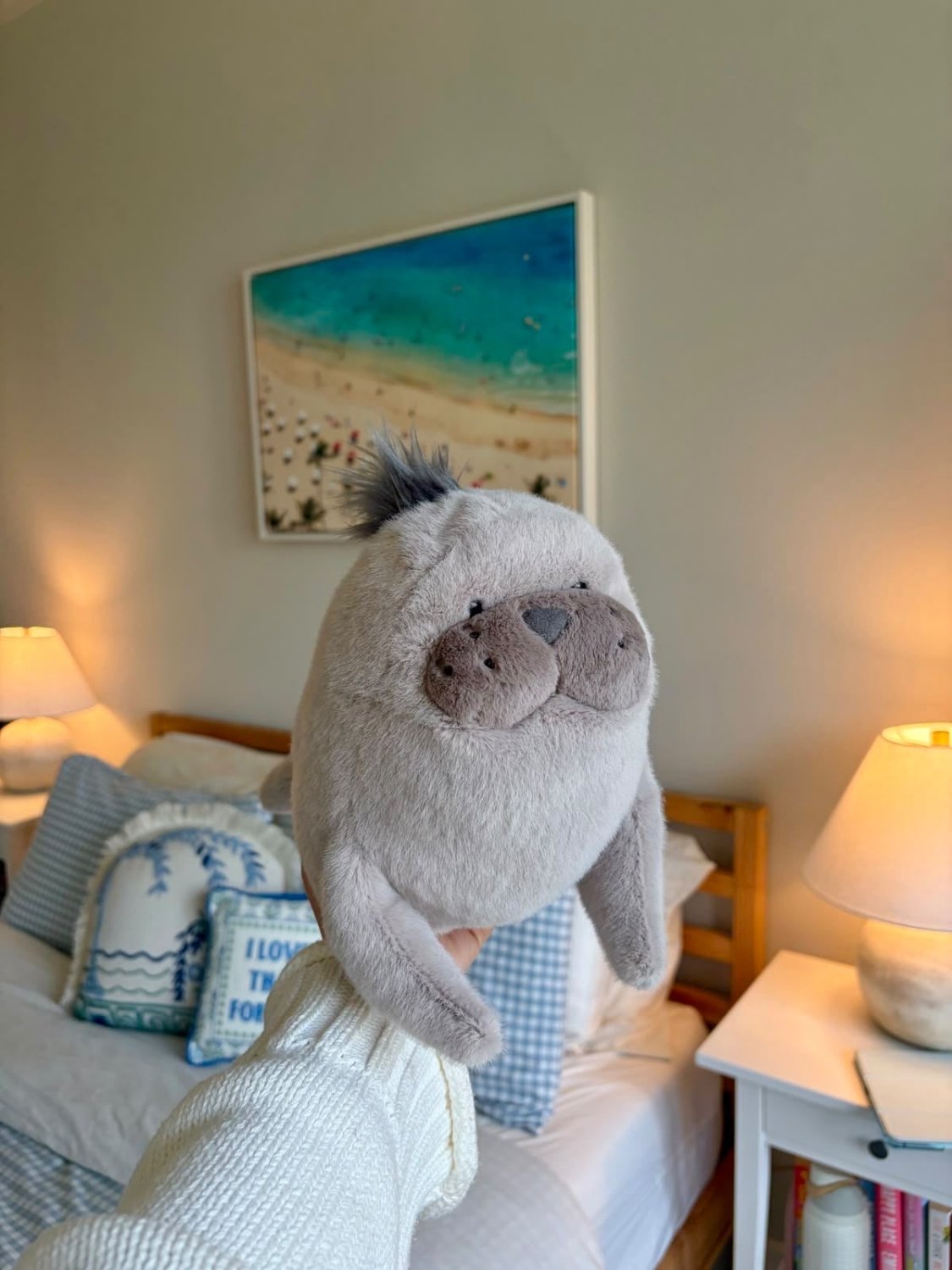Cute Seal Plush Toy – Soft Chubby Sea Lion Stuffed Animal & Bedroom Decor - 30 cm - Pinky Promise