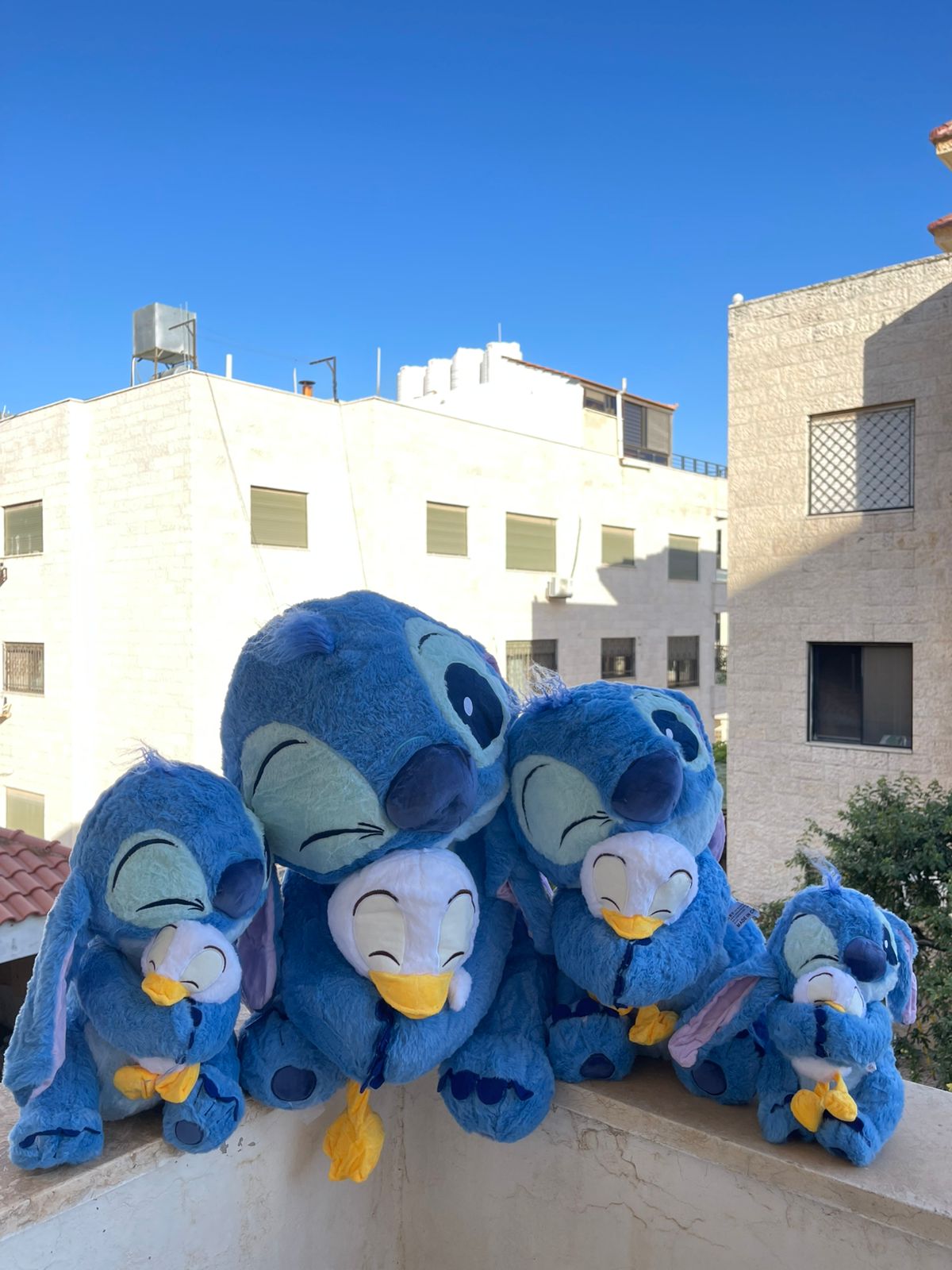 Stitch holding a duck plush toy
