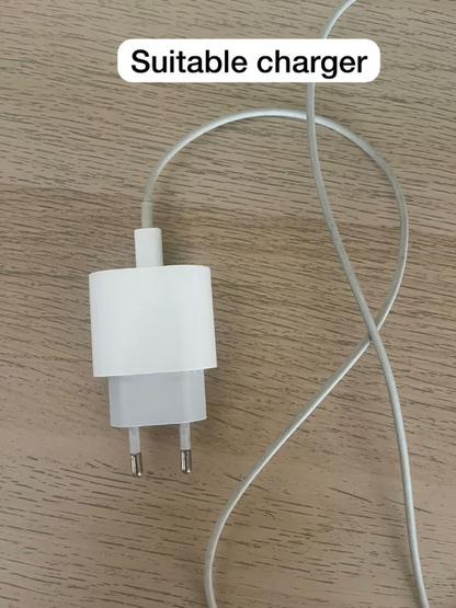 Dinosaur charger protector - Close Up | Pinky Promise