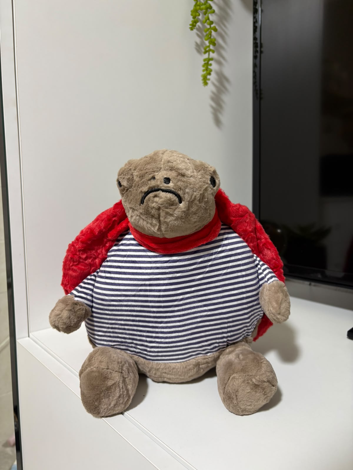 Grumpy Superhero Turtle Plush Toy – Striped Shirt & Red Cape
 - 30 cm - Photo 4 | Pinky Promise