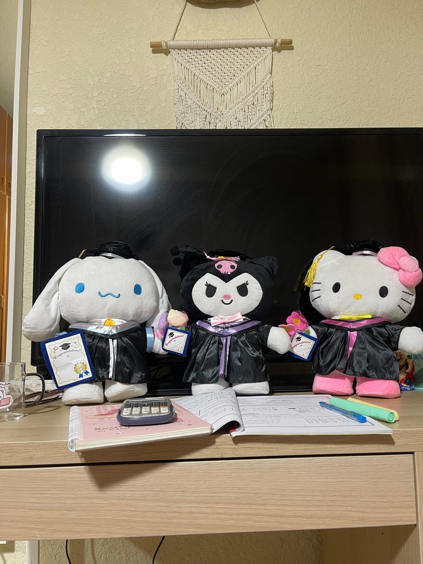 Hello kitty graduation Plush - Photo 10 | Pinky Promise
