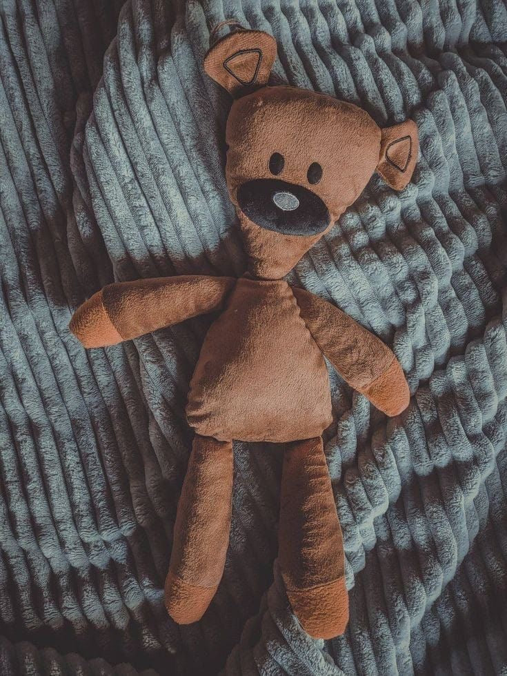Mr bean teddy bear plushy - Photo 8 | Pinky Promise