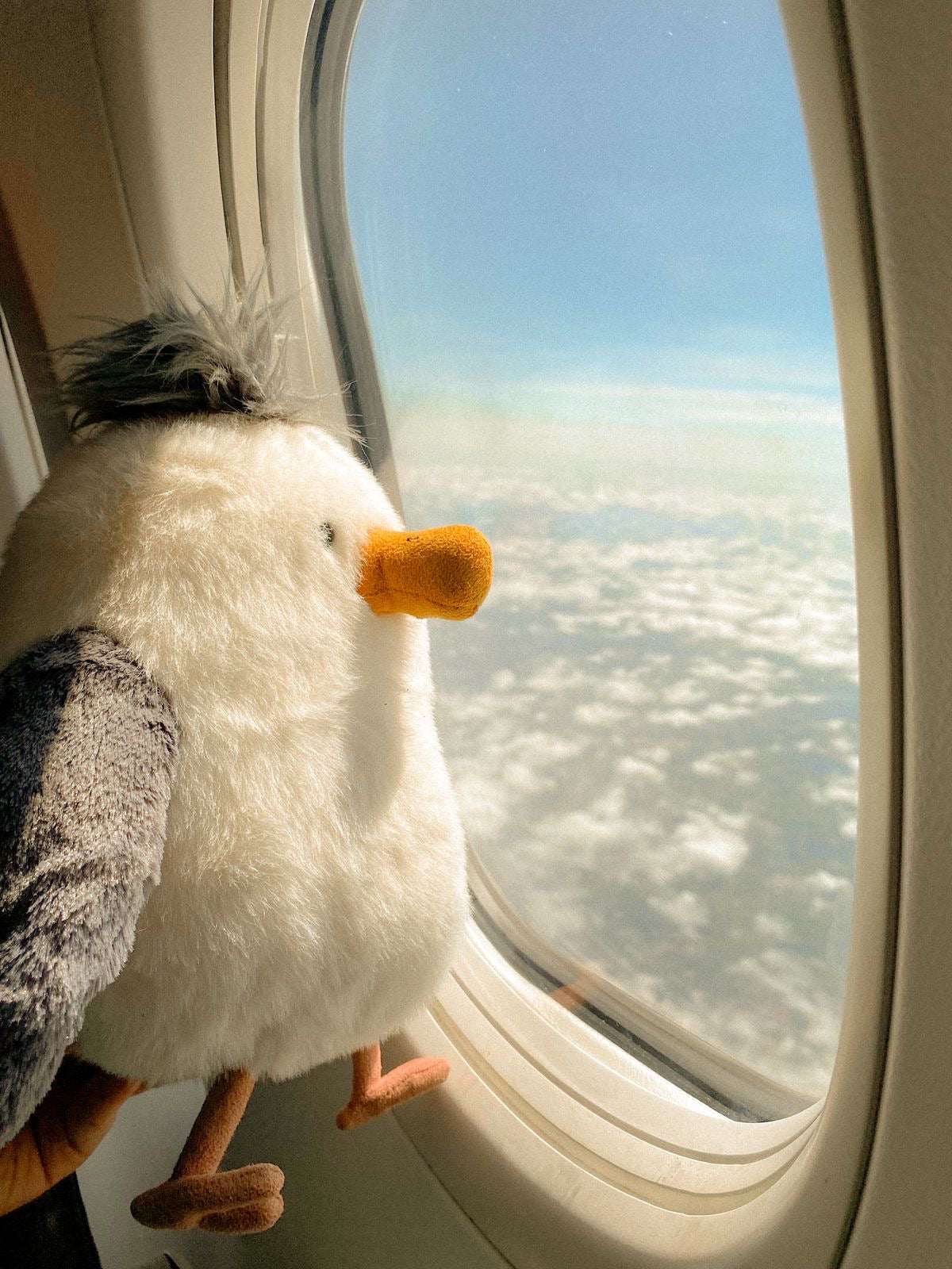 Seagull plush toy - 25 cm - Close Up | Pinky Promise