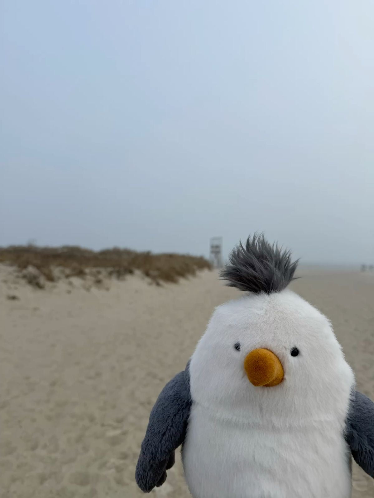 Seagull plush toy - 25 cm - Photo 4 | Pinky Promise