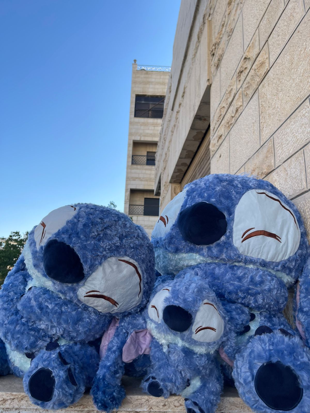 Stitch plush toy - 70 cms | Pinky Promise