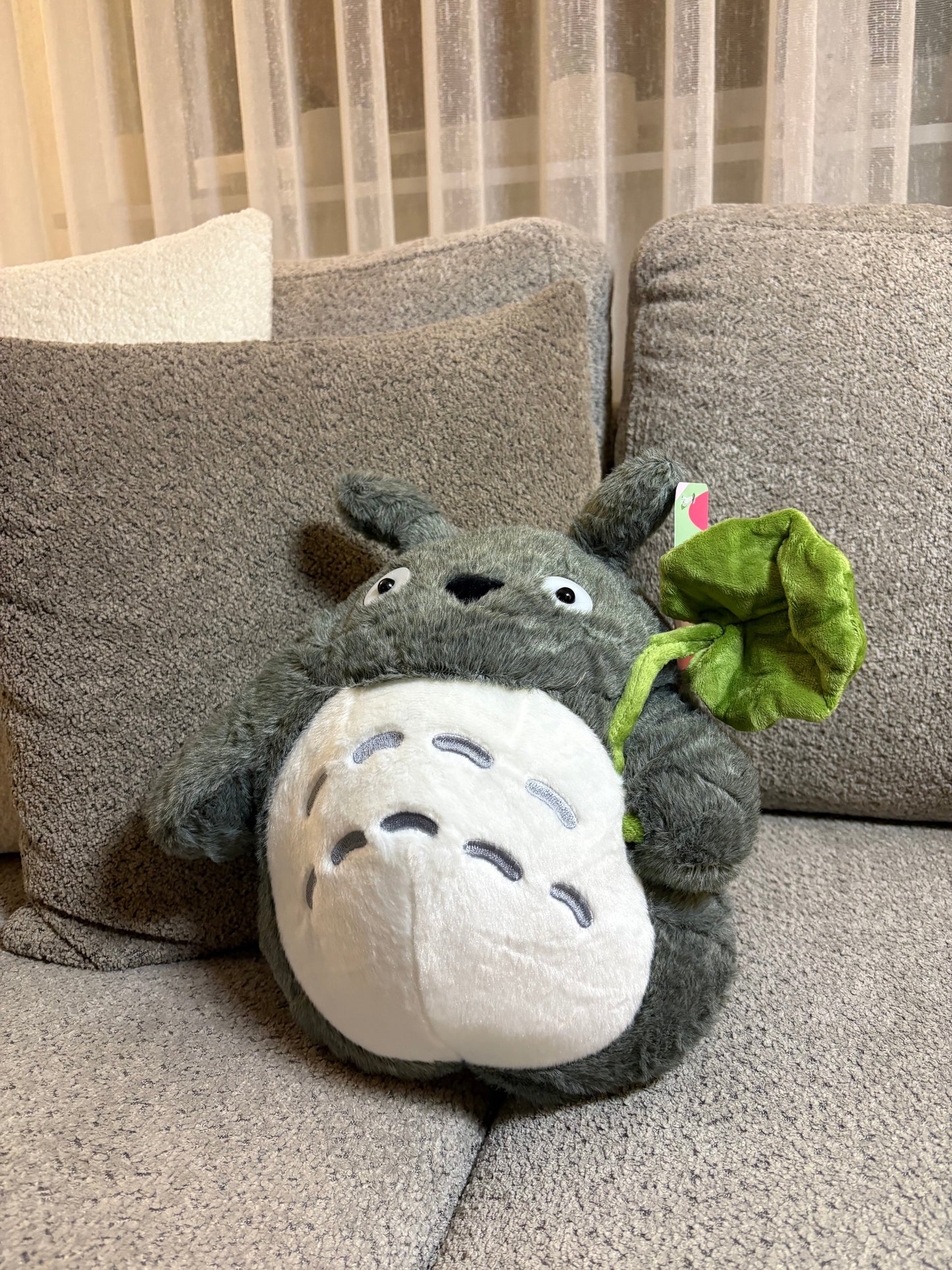 Buy Totoro plush toy at Pinky Promise