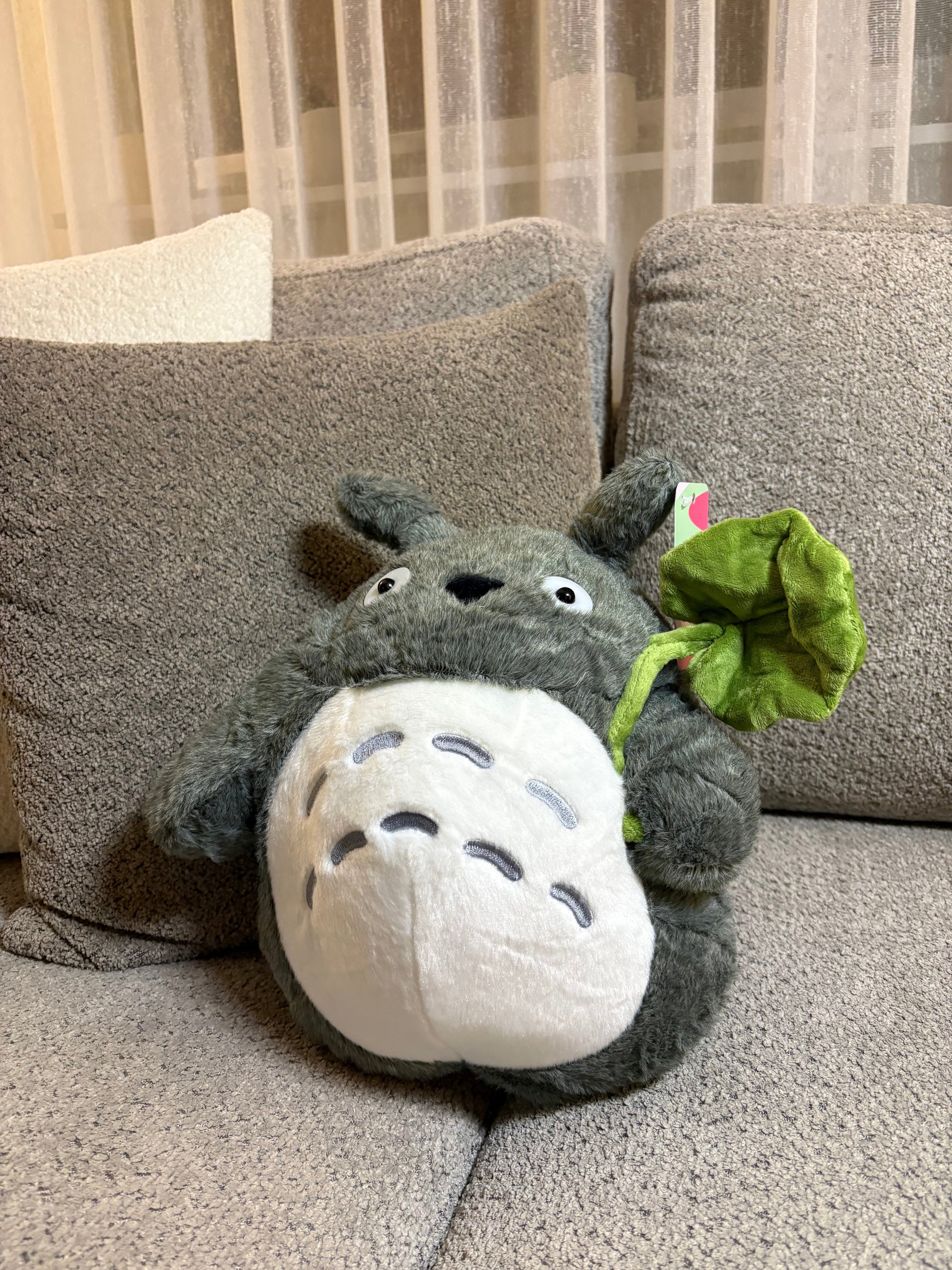 Buy Totoro plush toy at Pinky Promise