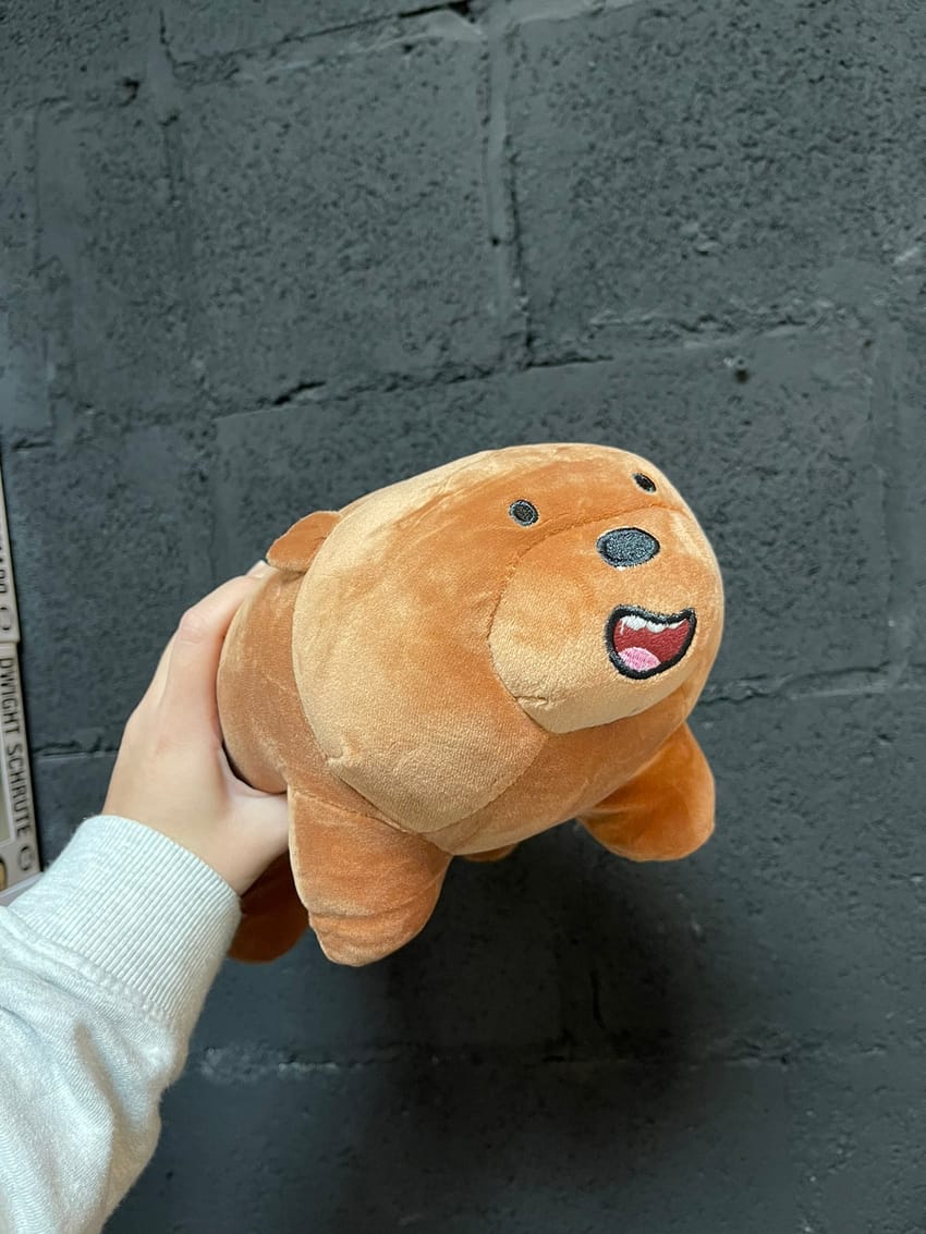 we bare bears plush - 22 cm - Close Up | Pinky Promise