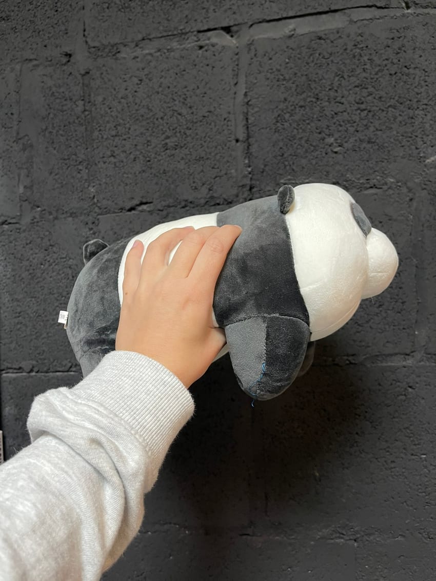 we bare bears plush - 22 cm - Photo 8 | Pinky Promise